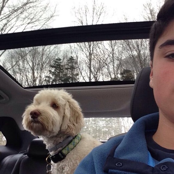 Meet your Posher, Timothy - Picture 1 of 1